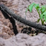 sistem-de-irigare-prin-picurare-furtun-poros-3 Irigare prin picurare – economic și precis