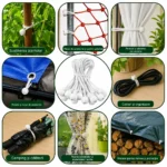 Elastice de fixare cu bilă – 50 buc.